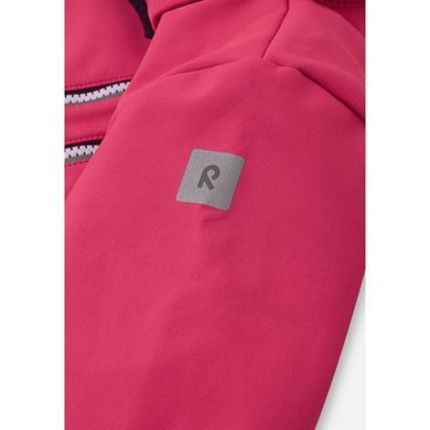 Комбинезон Softshell Reima Nurmes 5100007A-3610, 4 года (104 см), 4 года (104 см)