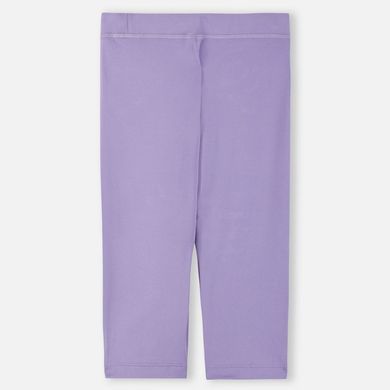 Леггинсы Xylitol Cool Reima Jumppa 5200188A-5450, 9 лет (134 см), 9 лет (134 см)