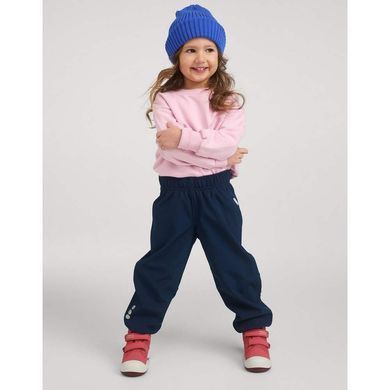 Брюки Softshell Reima Oikotie 5100010B-6980, 4 года (104 см), 4 года (104 см)