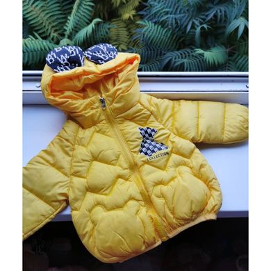 Демисезонная курточка Collection, CHB-10150, 100 см, 3 года (98 см)