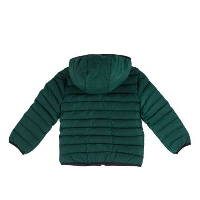 Куртка зимова стьобана NANO, F20M1251-RoyalGreen, 12 міс (74-82 см), 12 міс (80 см)