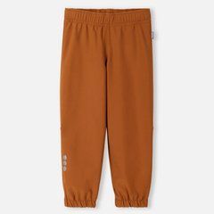 Штани Softshell Reima Oikotie 5100010A-1490, 5 років (110 см), 5 років (110 см)