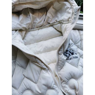 Демисезонная курточка Collection, CHB-10155, 120 см, 7 лет (122 см)
