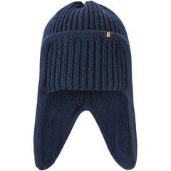 Шапка Reima Solmu 5300288A-6980, 46, 46