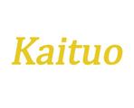 Картинка лого Kaituo