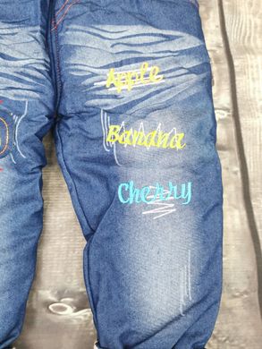 Утеплені джинси для хлопчика АВС CHB-1509, CHB-1509, 80 см, 12 міс (80 см)