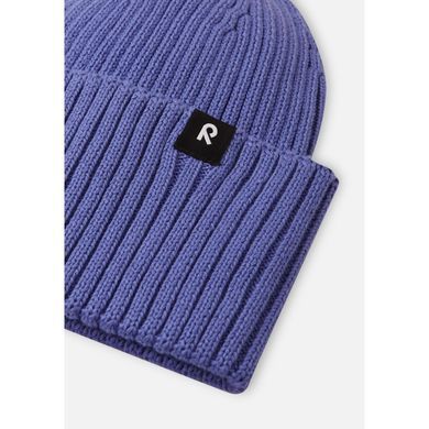 Шапка демісезонна Reima Hattara 5300057B-5660, 48-50, 48