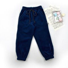 Штаны флисовые Marakas Mar-543102-05264, 4 года (104 см), 4 года (104 см)