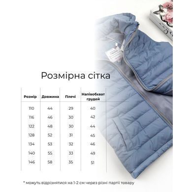 Жилет с капюшоном съемным Marakas Mar-512036-01264, 5 лет (110 см), 5 лет (110 см)