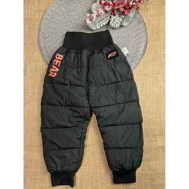 Брюки зимние утепленные Bear CHB-10179, 100 см, 3 года (98 см)