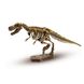 Набір - Розкопки скелета тиранозавра, Дослідник Ses Creative, 25028S, 4-10 років