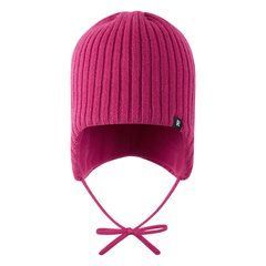 Шапка зимова Reima Myssytys 5300324A-4820, 46, 46