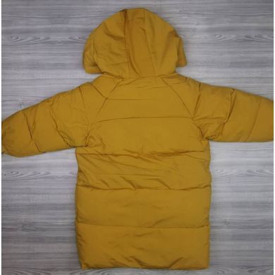 Пальто деми для мальчика, CHB-1563, 140 см, 10 лет (140 см)