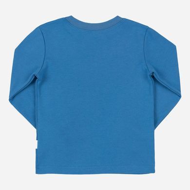 Піжама (кофта та штани) Bembi ПЖ53-il-8L1, 5 років (110 см), 5 років (110 см)