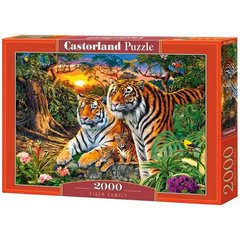 Пазли Castorland "Родина тигрів" (2000 елементів), TS-189702