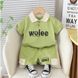 Костюм летний Wolee CHB-10821, 100 см, 3 года (98 см)