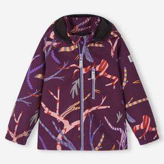 Куртка Softshell Reima Vantti 5100009D-4961, 4 года (104 см), 4 года (104 см)