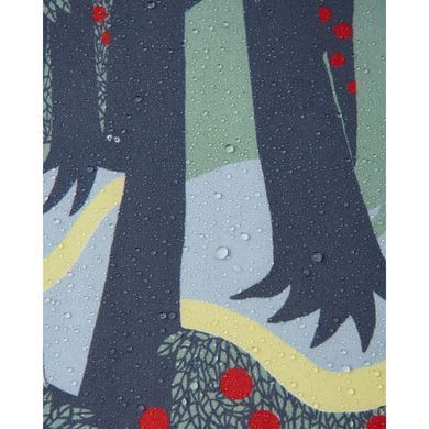 Куртка Softshell Reima Moomin Vantti 5100009E-9786, 4 года (104 см), 4 года (104 см)