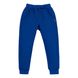 Спортивные штаны, утепленные Bembi ШР554-trk-800, ШР554-trk-800, 9 лет (134 см), 9 лет (134 см)