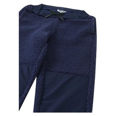 Штани флисовые Reima Termos 5200438B-6980, 4 года (104 см), 4 года (104 см)