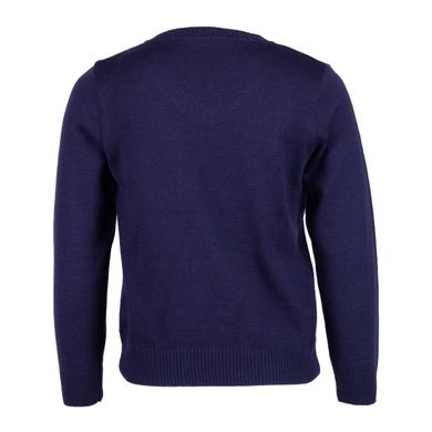 Пуловер для мальчика Flash, 19B004-4-1111-421, 7 лет (122 см), 7 лет (122 см)