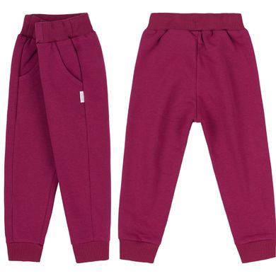 Спортивные штаны, утепленные Bembi ШР554-trk-N00, ШР554-trk-N00, 9 лет (134 см), 9 лет (134 см)