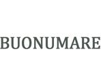 Картинка лого Buonumare
