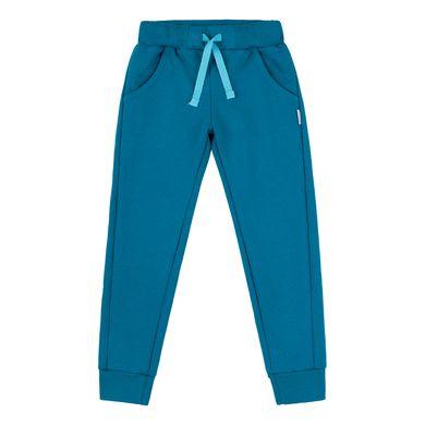 Спортивные штаны, утепленные Bembi ШР554-trk-R00, ШР554-trk-R00, 4 года (104 см), 4 года (104 см)
