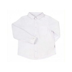Рубашка классическая Bembi, РБ140-100-b(tericotton), 10 лет (140 см), 10 лет (140 см)