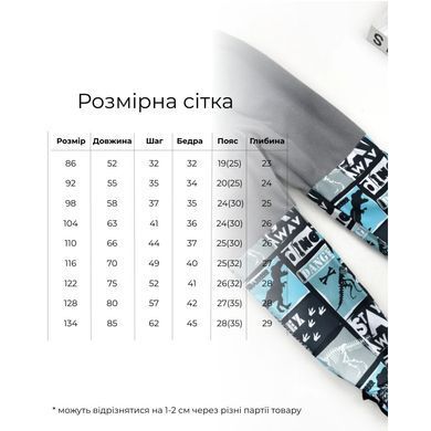 Комплект на микрофлисе Дино Mar-513024-11252, 4 года (104 см), 4 года (104 см)
