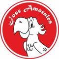 Картинка лого Jose Amorales