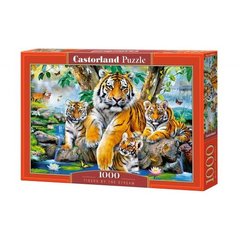 Пазлы Castorland "Тигры в доме" (1000 элементов), TS-119830