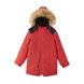 Куртка зимняя Reimatec Reima Naapuri, 5100105A-3880, 4 года (104 см), 4 года (104 см)