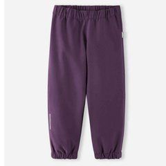 Штаны Softshell Reima Oikotie 5100010B-4960, 4 года (104 см), 4 года (104 см)