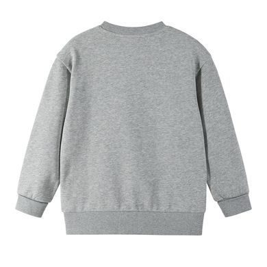 Свитшот хлопковый Reima Svetari 5200335A-9150, 110-116, 5 лет (110 см)