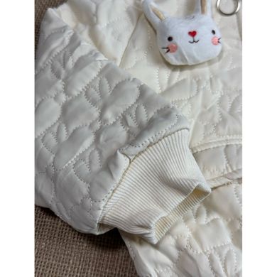 Утепленный костюм с зайчиком CHB-10654, 100 см, 3 года (98 см)