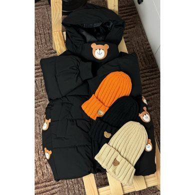 Пальто зимнее Bear CHB-10639, 90 см, 2 года (92 см)