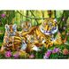 Пазлы "Семья тигров" Trefl 37350, ROY-37350