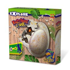 Растущая игрушка - Дино в яйце, 25063S, 5-10 лет