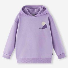 Худи хлопок Reima Huppis 5200491A-5450, 110-116, 5 лет (110 см)