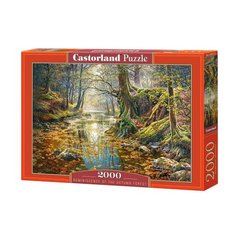 Пазлы Castorland "Осенний лес" (2000 элементов), TS-124611