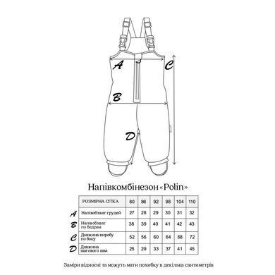 Напівкомбінезон зимний "Polin" MagBaby 132066, 80 (9-12 міс), 12 міс (80 см)