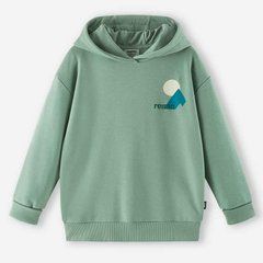 Худи хлопок Reima Huppis 5200491A-81B0, 110-116, 5 лет (110 см)