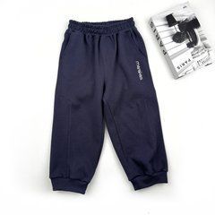 Штани спортивні Графіт Mar-543096-05261, 6 років (116 см), 6 років (116 см)