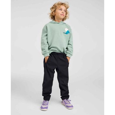 Худи хлопок Reima Huppis 5200491A-81B0, 110-116, 5 лет (110 см)