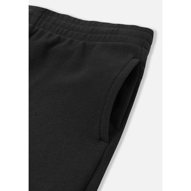 Брюки флисовые Reima Tarvis 5200386A-9990, 4 года (104 см), 4 года (104 см)