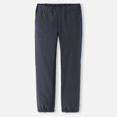 Брюки Softshell Reima Helppo 5100241B-9780, 4 года (104 см), 4 года (104 см)
