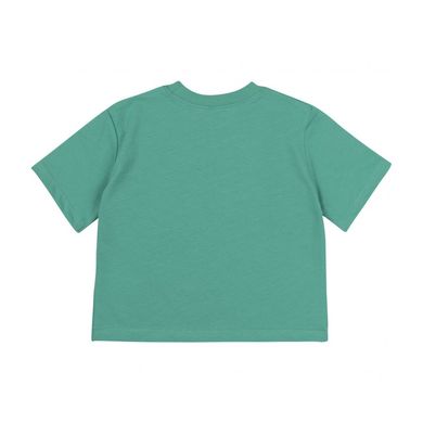 Комплект для мальчика (шорты и футболка), КС773-syp-600, 80 см, 12 мес (80 см)
