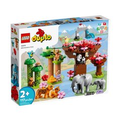 Конструктор LEGO® Дикі тварини Азії, BVL-10974