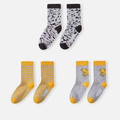 Шкарпетки бавовняні Reima Tassukas, 5300132A-2653, 22-25, 22-25
